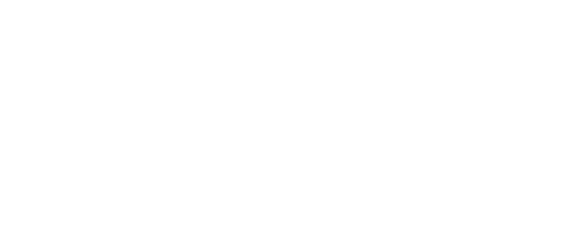 RSAWEB logo