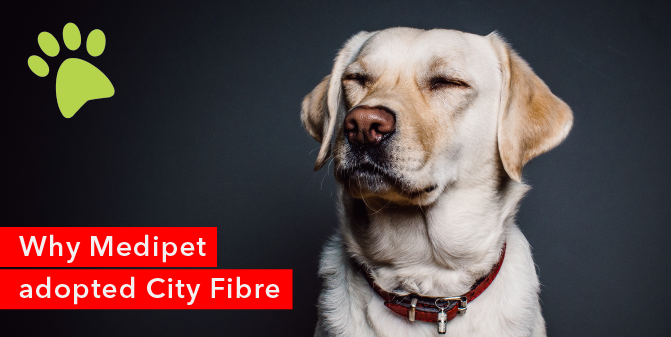 Blog-Why_Medipet_adopted_City_Fibre